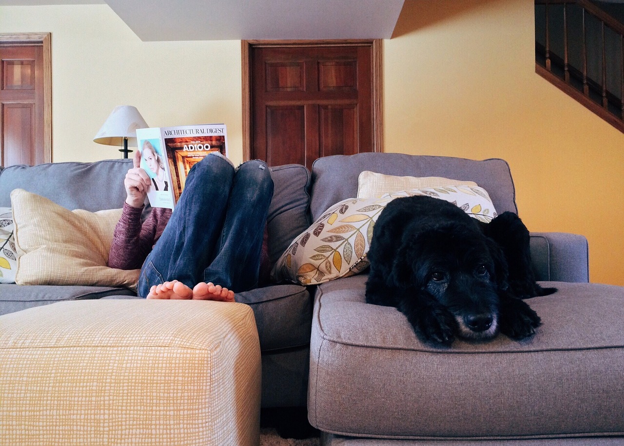 Tax Season Tips with lady on couch sitting next to black dog.