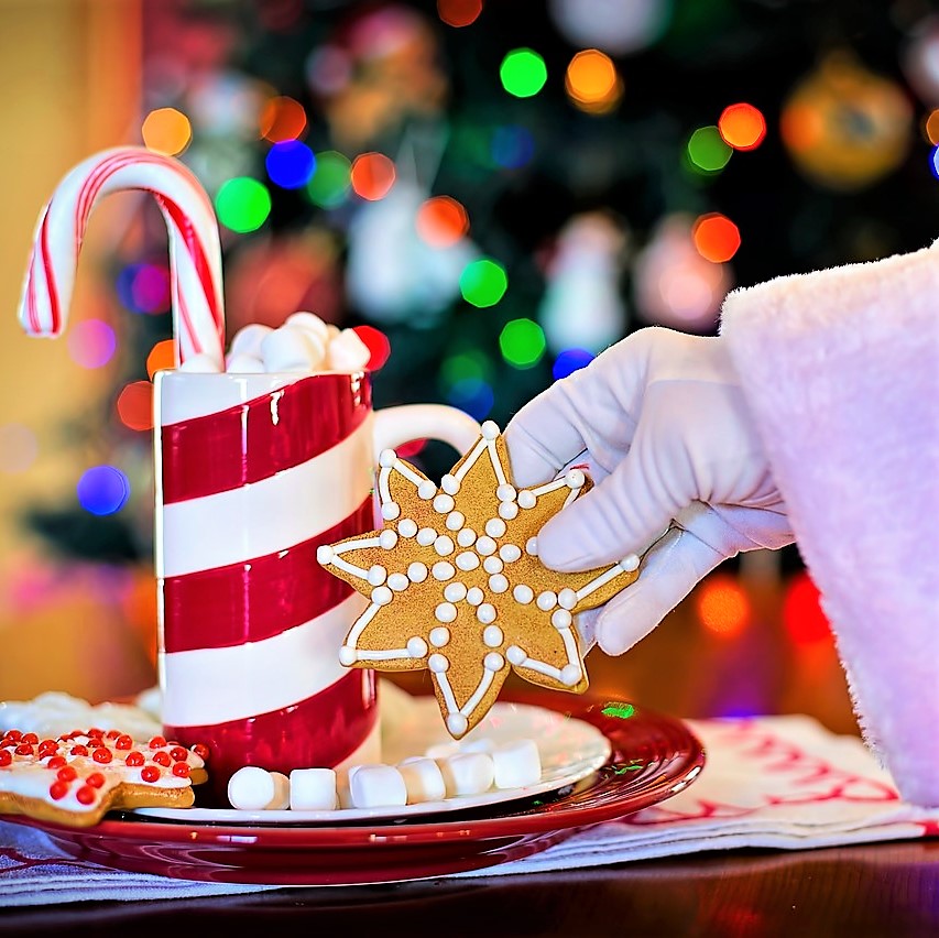 Saving and budget for the holidays. Christmas cookies with Santa.