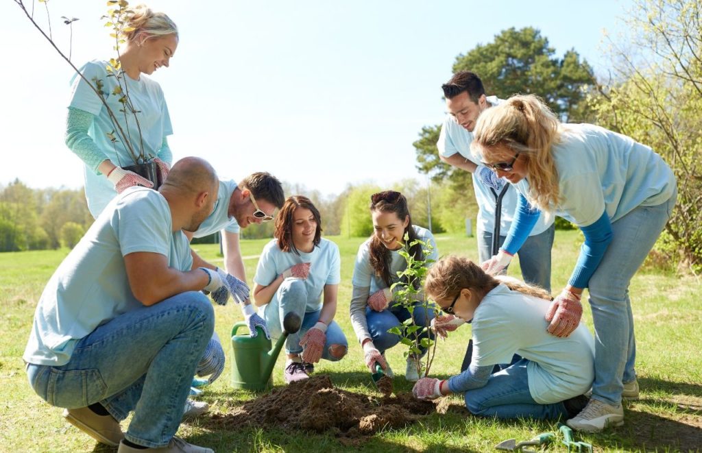 YMCA Tax Exemption with community planting flowers